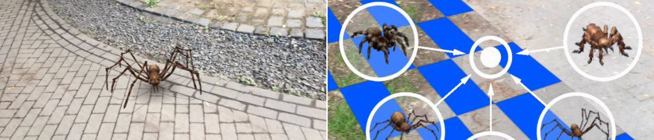  AR Spiders