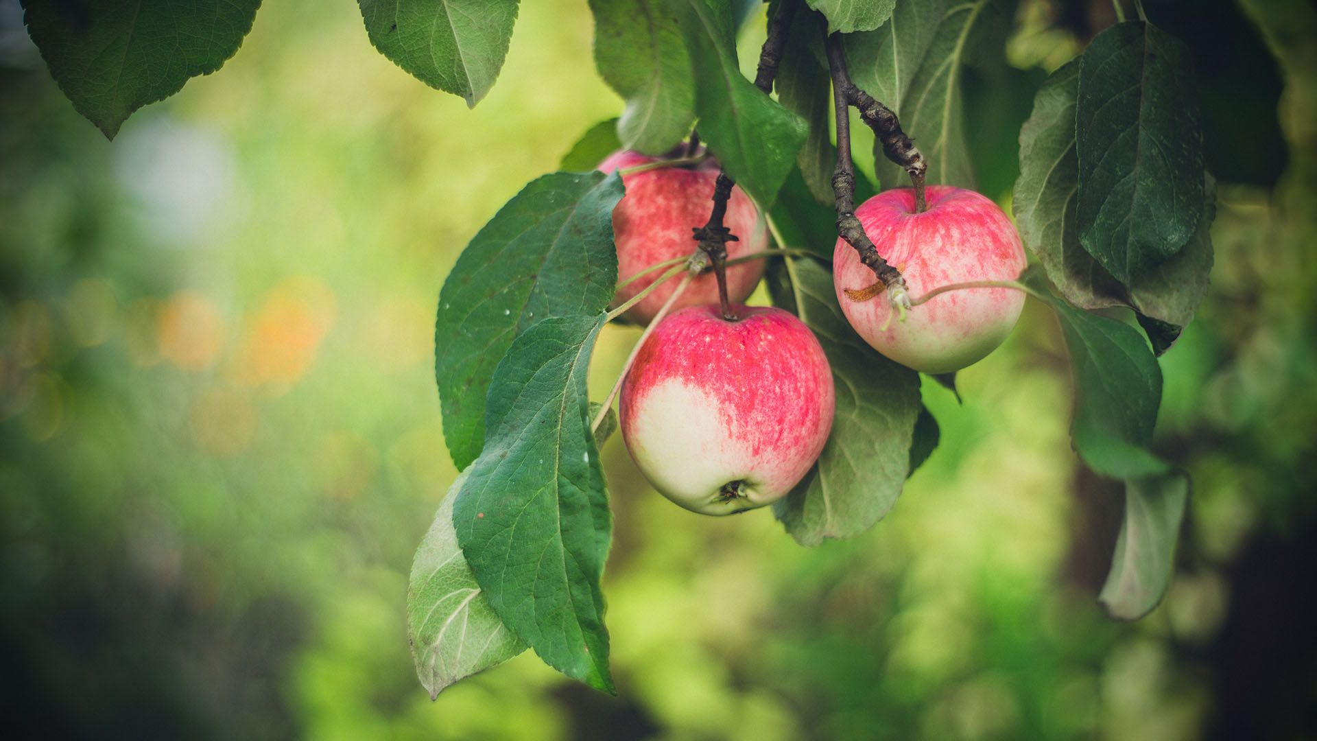 Photo by Marina Khrapova on Unsplash